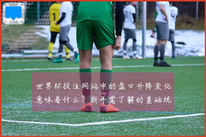 世界杯投注网站中的盘口升降变化意味着什么？新手需了解的基础规则解析