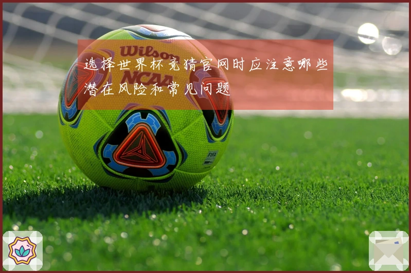 选择世界杯竞猜官网时应注意哪些潜在风险和常见问题