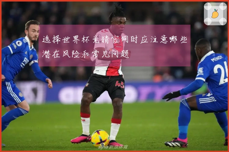 选择世界杯竞猜官网时应注意哪些潜在风险和常见问题