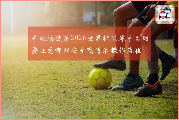 手机端使用2026世界杯买球平台时要注意哪些安全隐患和操作流程