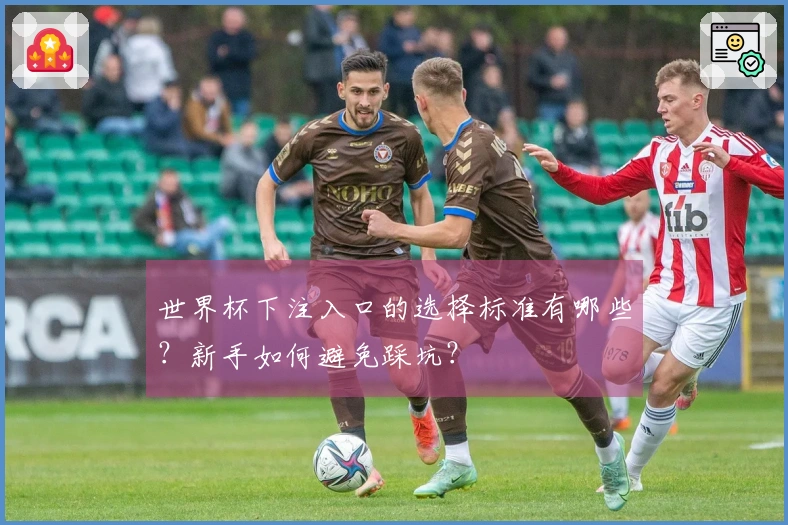 世界杯下注入口的选择标准有哪些？新手如何避免踩坑？
