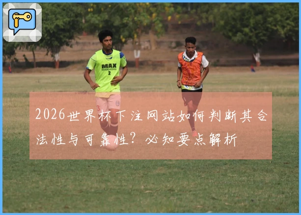 2026世界杯下注网站如何判断其合法性与可靠性？必知要点解析
