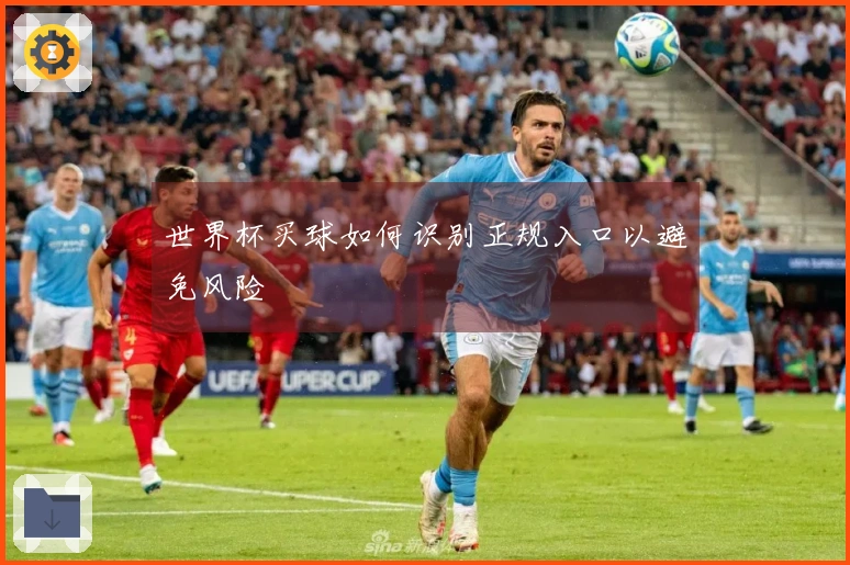 世界杯买球如何识别正规入口以避免风险