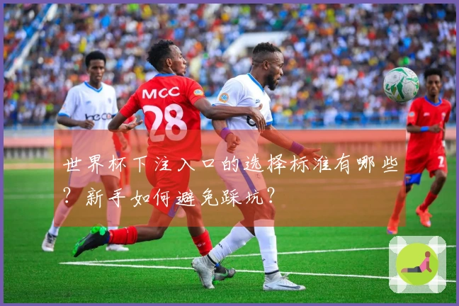 世界杯下注入口的选择标准有哪些？新手如何避免踩坑？