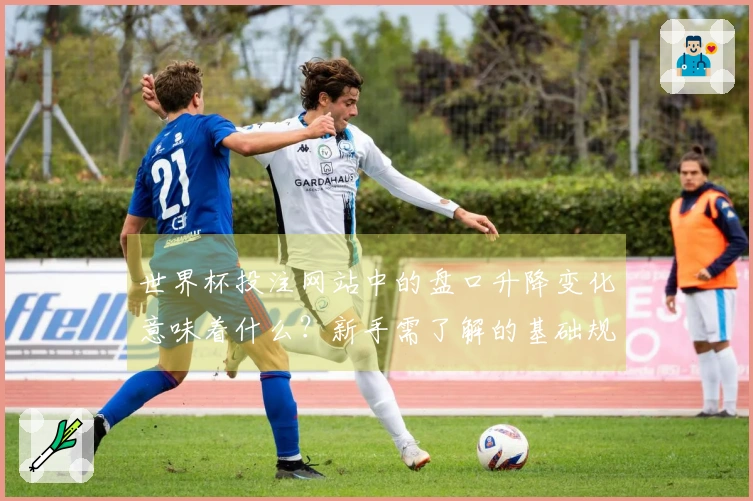 世界杯投注网站中的盘口升降变化意味着什么？新手需了解的基础规则解析