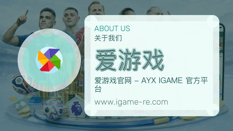 关于 爱游戏